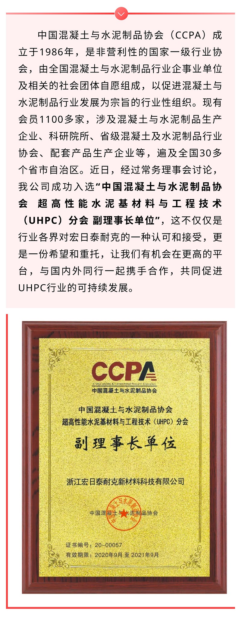 喜報！祝賀我司當選行業(yè)協(xié)會副理事長單位！.jpg